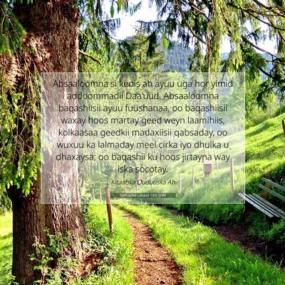 Picture 07 - Samuu'eel Labaad 18:9 SOM - Absaaloomna si kedis ah ayuu uga hor yimid - Bible Verse Picture