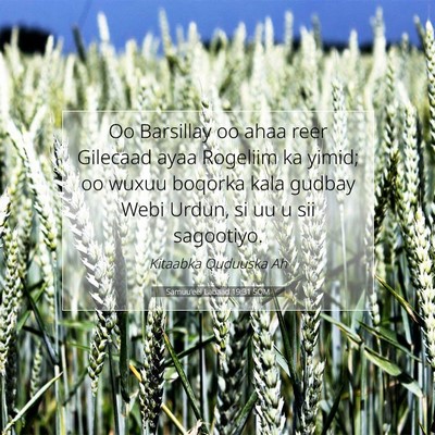 Picture 07 - Samuu'eel Labaad 19:31 SOM - Oo Barsillay oo ahaa reer Gilecaad ayaa Rogeliim - Bible Verse Picture