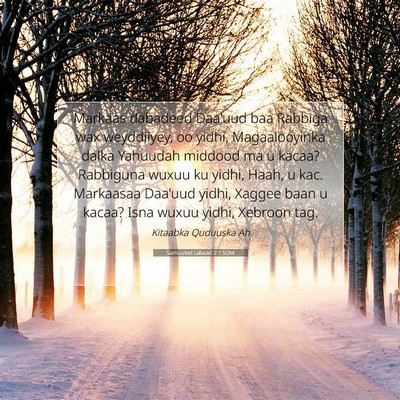 Picture 07 - Samuu'eel Labaad 2:1 SOM - Markaas dabadeed Daa'uud baa Rabbiga wax - Bible Verse Picture
