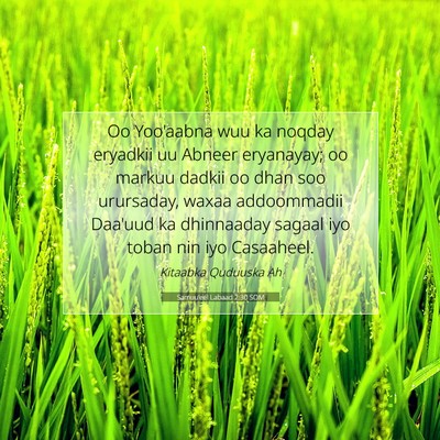 Picture 07 - Samuu'eel Labaad 2:30 SOM - Oo Yoo'aabna wuu ka noqday eryadkii uu Abneer - Bible Verse Picture