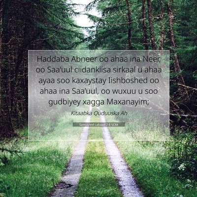 Picture 07 - Samuu'eel Labaad 2:8 SOM - Haddaba Abneer oo ahaa ina Neer, oo Saa'uul - Bible Verse Picture