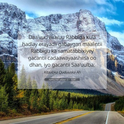 Picture 07 - Samuu'eel Labaad 22:1 SOM - Daa'uud wuxuu Rabbiga kula hadlay erayadii - Bible Verse Picture