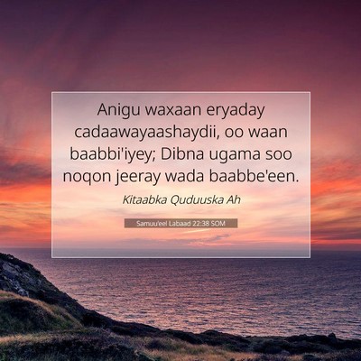 Picture 07 - Samuu'eel Labaad 22:38 SOM - Anigu waxaan eryaday cadaawayaashaydii, oo waan - Bible Verse Picture