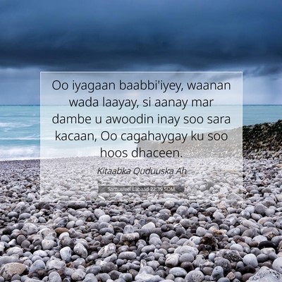 Picture 07 - Samuu'eel Labaad 22:39 SOM - Oo iyagaan baabbi'iyey, waanan wada laayay, si - Bible Verse Picture