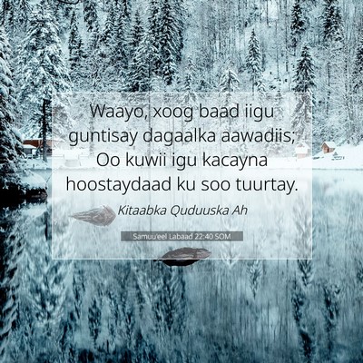 Picture 07 - Samuu'eel Labaad 22:40 SOM - Waayo, xoog baad iigu guntisay dagaalka aawadiis; - Bible Verse Picture