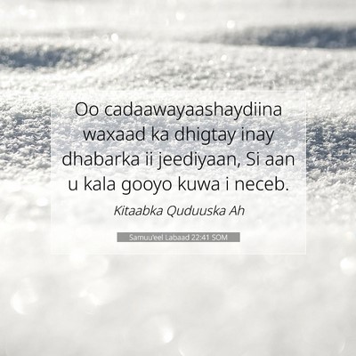 Picture 07 - Samuu'eel Labaad 22:41 SOM - Oo cadaawayaashaydiina waxaad ka dhigtay inay - Bible Verse Picture