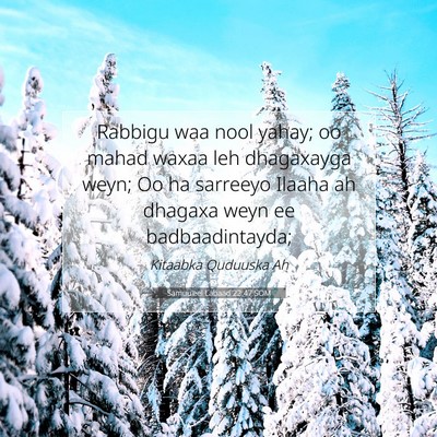 Picture 07 - Samuu'eel Labaad 22:47 SOM - Rabbigu waa nool yahay; oo mahad waxaa leh - Bible Verse Picture