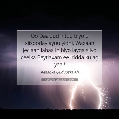 Picture 07 - Samuu'eel Labaad 23:15 SOM - Oo Daa'uud intuu biyo u xiisooday ayuu yidhi, - Bible Verse Picture