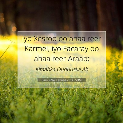 Picture 07 - Samuu'eel Labaad 23:35 SOM - iyo Xesroo oo ahaa reer Karmel, iyo Facaray oo - Bible Verse Picture