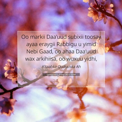 Picture 07 - Samuu'eel Labaad 24:11 SOM - Oo markii Daa'uud subixii toosay ayaa eraygii - Bible Verse Picture