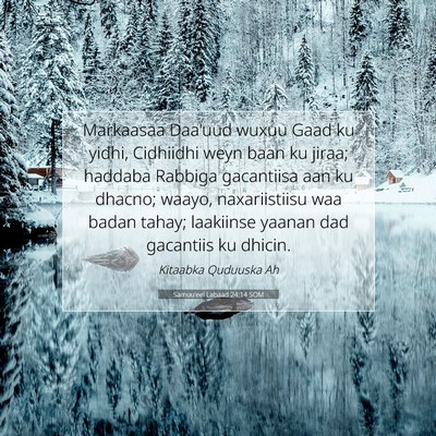 Picture 07 - Samuu'eel Labaad 24:14 SOM - Markaasaa Daa'uud wuxuu Gaad ku yidhi, Cidhiidhi - Bible Verse Picture