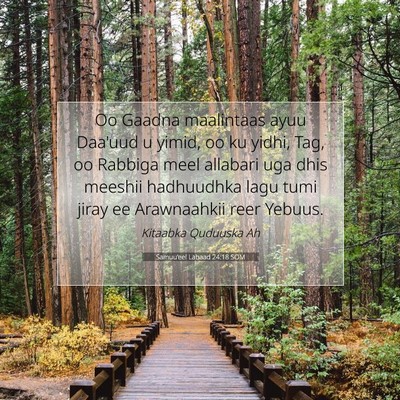 Picture 07 - Samuu'eel Labaad 24:18 SOM - Oo Gaadna maalintaas ayuu Daa'uud u yimid, oo ku - Bible Verse Picture