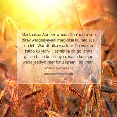 Picture 07 - Samuu'eel Labaad 3:12 SOM - Markaasaa Abneer wuxuu Daa'uud u soo diray - Bible Verse Picture