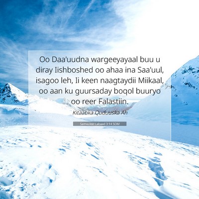 Picture 07 - Samuu'eel Labaad 3:14 SOM - Oo Daa'uudna wargeeyayaal buu u diray Iishboshed - Bible Verse Picture