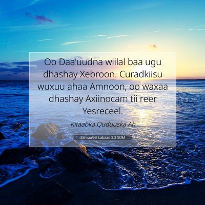 Picture 07 - Samuu'eel Labaad 3:2 SOM - Oo Daa'uudna wiilal baa ugu dhashay Xebroon. - Bible Verse Picture