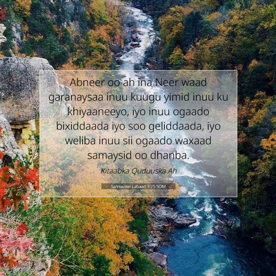 Picture 07 - Samuu'eel Labaad 3:25 SOM - Abneer oo ah ina Neer waad garanaysaa inuu kuugu - Bible Verse Picture