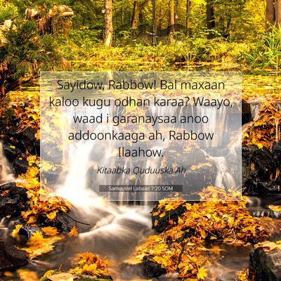 Picture 07 - Samuu'eel Labaad 7:20 SOM - Sayidow, Rabbow! Bal maxaan kaloo kugu odhan - Bible Verse Picture