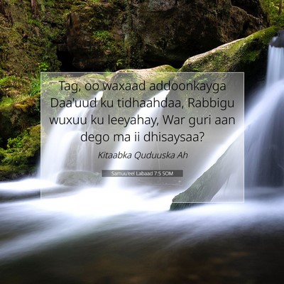 Picture 07 - Samuu'eel Labaad 7:5 SOM - Tag, oo waxaad addoonkayga Daa'uud ku tidhaahdaa, - Bible Verse Picture