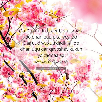 Picture 07 - Samuu'eel Labaad 8:15 SOM - Oo Daa'uudna reer binu Israa'iil oo dhan buu u - Bible Verse Picture