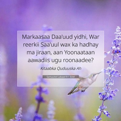 Picture 07 - Samuu'eel Labaad 9:1 SOM - Markaasaa Daa'uud yidhi, War reerkii Saa'uul wax - Bible Verse Picture