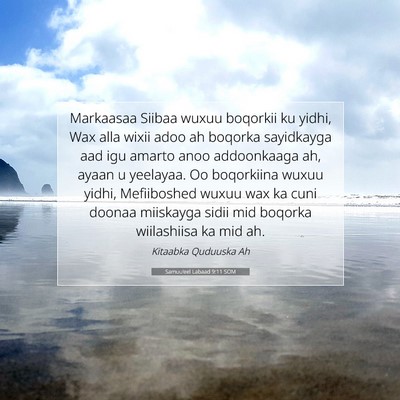 Picture 07 - Samuu'eel Labaad 9:11 SOM - Markaasaa Siibaa wuxuu boqorkii ku yidhi, Wax - Bible Verse Picture