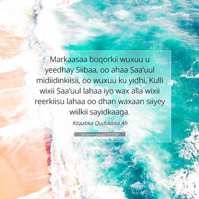 Picture 07 - Samuu'eel Labaad 9:9 SOM - Markaasaa boqorkii wuxuu u yeedhay Siibaa, oo - Bible Verse Picture