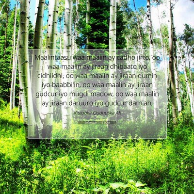 Picture 07 - Sefanyaah 1:15 SOM - Maalintaasu waa maalin ay cadho jirto, oo waa - Bible Verse Picture