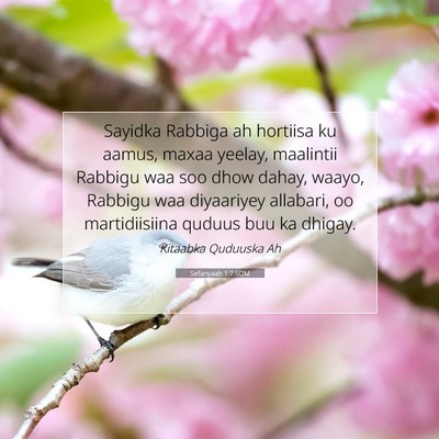 Picture 07 - Sefanyaah 1:7 SOM - Sayidka Rabbiga ah hortiisa ku aamus, maxaa - Bible Verse Picture
