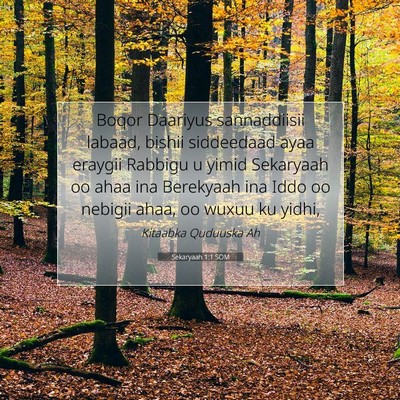 Picture 07 - Sekaryaah 1:1 SOM - Boqor Daariyus sannaddiisii labaad, bishii - Bible Verse Picture