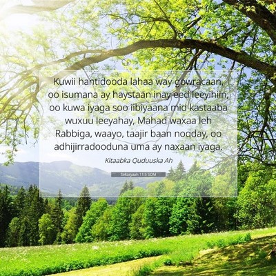 Picture 07 - Sekaryaah 11:5 SOM - Kuwii hantidooda lahaa way gowracaan, oo isumana - Bible Verse Picture
