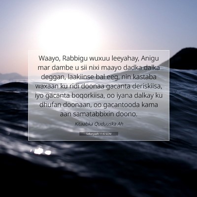 Picture 07 - Sekaryaah 11:6 SOM - Waayo, Rabbigu wuxuu leeyahay, Anigu mar dambe u - Bible Verse Picture