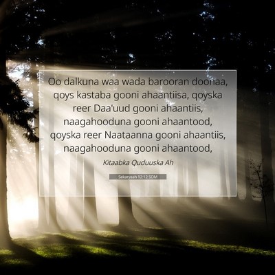 Picture 07 - Sekaryaah 12:12 SOM - Oo dalkuna waa wada barooran doonaa, qoys kastaba - Bible Verse Picture