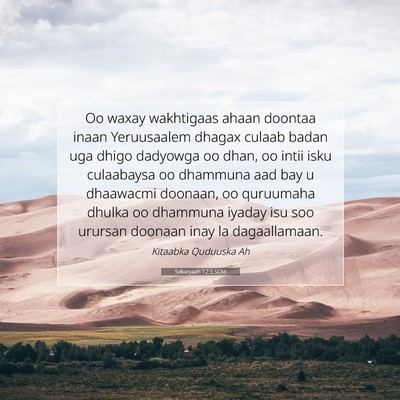 Picture 07 - Sekaryaah 12:3 SOM - Oo waxay wakhtigaas ahaan doontaa inaan - Bible Verse Picture