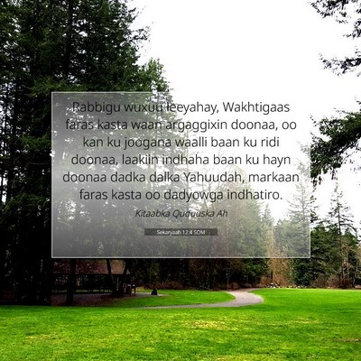 Picture 07 - Sekaryaah 12:4 SOM - Rabbigu wuxuu leeyahay, Wakhtigaas faras kasta - Bible Verse Picture