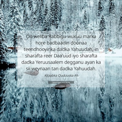 Picture 07 - Sekaryaah 12:7 SOM - Oo weliba Rabbigu wuxuu marka hore badbaadin - Bible Verse Picture