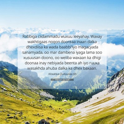 Picture 07 - Sekaryaah 13:2 SOM - Rabbiga ciidammadu wuxuu leeyahay, Waxay - Bible Verse Picture
