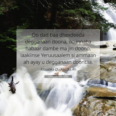 Picture 07 - Sekaryaah 14:11 SOM - Oo dad baa dhexdeeda degganaan doona, oo innaba - Bible Verse Picture