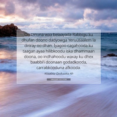 Picture 07 - Sekaryaah 14:12 SOM - Oo tanuna waa belaayada Rabbigu ku dhufan doono - Bible Verse Picture