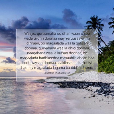 Picture 07 - Sekaryaah 14:2 SOM - Waayo, quruumaha oo dhan waan u soo wada ururin - Bible Verse Picture