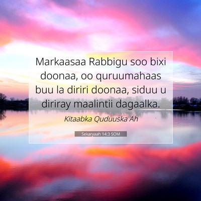 Picture 07 - Sekaryaah 14:3 SOM - Markaasaa Rabbigu soo bixi doonaa, oo quruumahaas - Bible Verse Picture