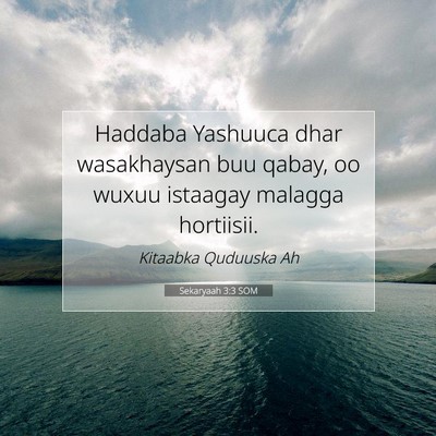 Picture 07 - Sekaryaah 3:3 SOM - Haddaba Yashuuca dhar wasakhaysan buu qabay, oo - Bible Verse Picture