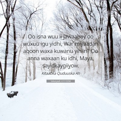 Picture 07 - Sekaryaah 4:13 SOM - Oo isna wuu ii jawaabay oo wuxuu igu yidhi, War - Bible Verse Picture