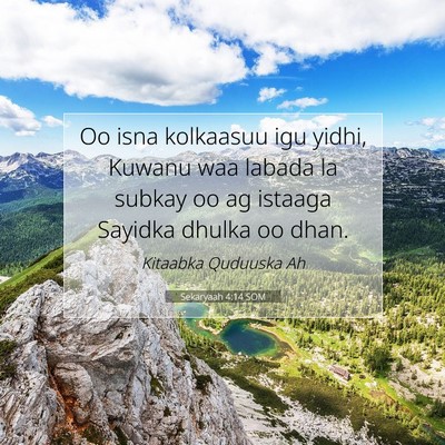 Picture 07 - Sekaryaah 4:14 SOM - Oo isna kolkaasuu igu yidhi, Kuwanu waa labada la - Bible Verse Picture