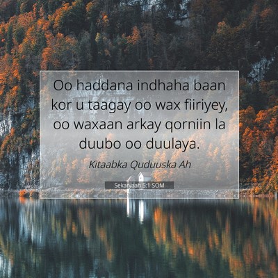 Picture 07 - Sekaryaah 5:1 SOM - Oo haddana indhaha baan kor u taagay oo wax - Bible Verse Picture