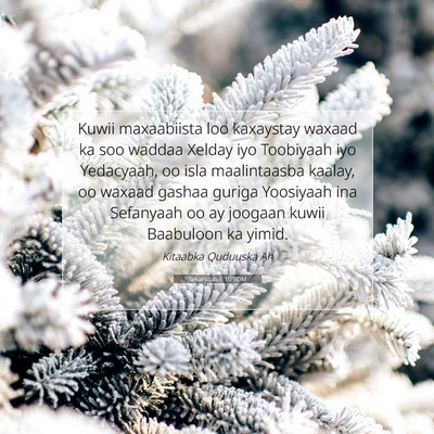 Picture 07 - Sekaryaah 6:10 SOM - Kuwii maxaabiista loo kaxaystay waxaad ka soo - Bible Verse Picture