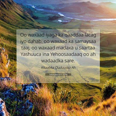 Picture 07 - Sekaryaah 6:11 SOM - Oo waxaad iyaga ka qaaddaa lacag iyo dahab, oo - Bible Verse Picture