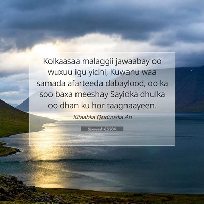 Picture 07 - Sekaryaah 6:5 SOM - Kolkaasaa malaggii jawaabay oo wuxuu igu yidhi, - Bible Verse Picture