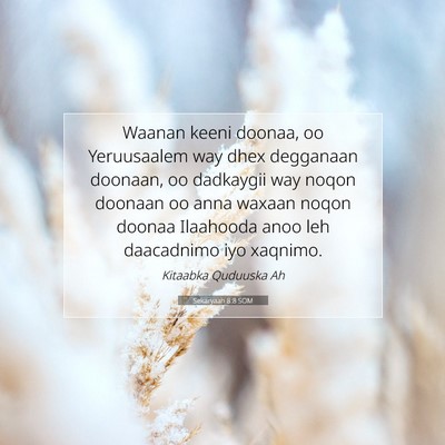 Picture 07 - Sekaryaah 8:8 SOM - Waanan keeni doonaa, oo Yeruusaalem way dhex - Bible Verse Picture