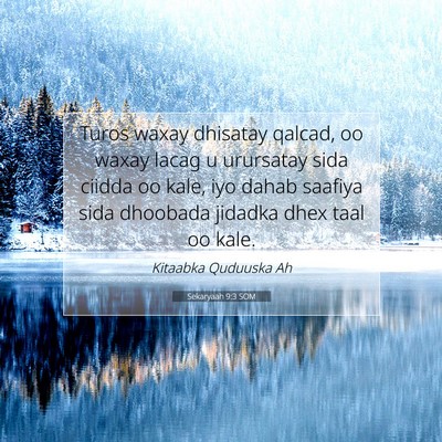 Picture 07 - Sekaryaah 9:3 SOM - Turos waxay dhisatay qalcad, oo waxay lacag u - Bible Verse Picture