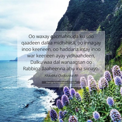 Picture 07 - Sharciga Kunoqoshadiisa 1:25 SOM - Oo waxay gacmahooda ku soo qaadeen dalka - Bible Verse Picture